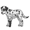 custom by #16068: Spots is a friendly & great companion for both you and your dog, spots is silly & loves hugs. Credit to Rainehwolfeh for coloring,shading,smoothing.